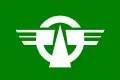 Flag of Tairadate