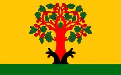 Flag of Tsivilsk