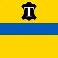 Flag of Tysmenytsia