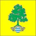 Flag of Ulmu