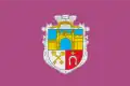 Flag of Vasylivka