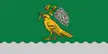 Flag of Viļāni Municipality
