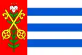 Flag of Vrutice