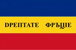 Flag of the Wallachian Revolution of 1848[104]
