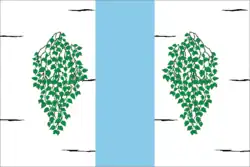 Flag of Zheshart