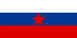 1:2 Flag used by Slovene Partisans that was adopted on 26 September 1941 at the Stolice meeting of the Yugoslav Partisans.