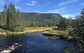 Vrengja at Lågen