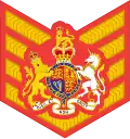 Full dress insignia