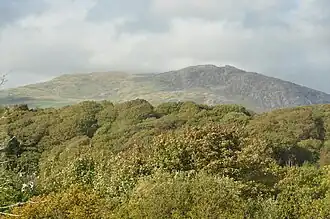 Nearby woodland and mountain