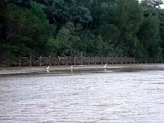 View of Rio Piray