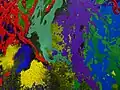 Fragmento de la obra Yellowstone (2015)