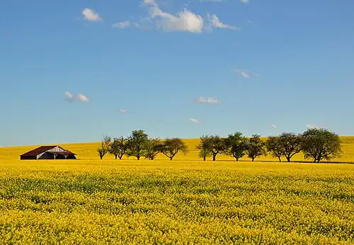 Spring in Autrécourt-sur-Aire