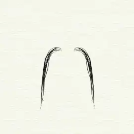 Fu Manchu moustache
