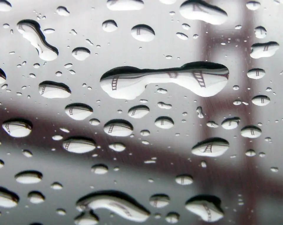 Image 8Refraction in raindrops, by Mila Zinkova (from Wikipedia:Featured pictures/Sciences/Others)