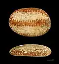 Painted pebble
