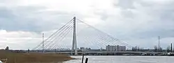 The bridge from a distance, 2010