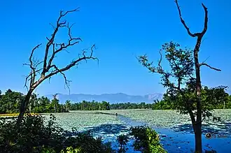 Ghodaghodi Lake