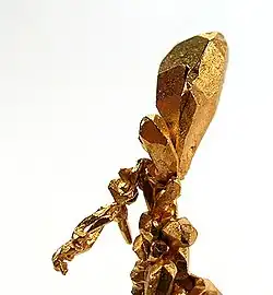 Image 25Native gold. Rare specimen of stout crystals growing off of a central stalk, size 3.7 x 1.1 x 0.4 cm, from Venezuela. (from Mineral)