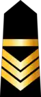 Adjudant (Arabic: وكيل, romanized: Wakil) (Tunisian Army)[25]