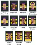 Dentist Ranks of the medical component.