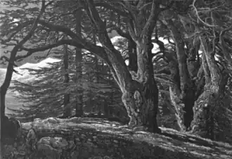 1881 engraving