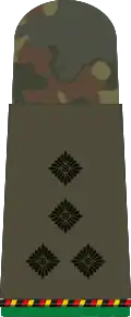 StHptm d.R. (Mech. infantry res.)