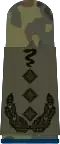 Oberst­veterinär
