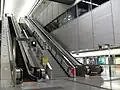 The long escalator