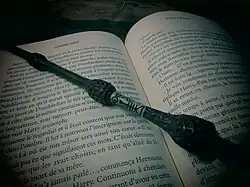 Warner Bros.' Harry Potter and The Lord of the Rings were the highest-grossing fantasy film series during the decade, based on J. K. Rowling's and J. R. R. Tolkien's novel series respectively. The final Harry Potter book released in 2007.