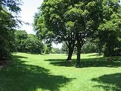 Hasenheide