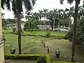 The palace gardens