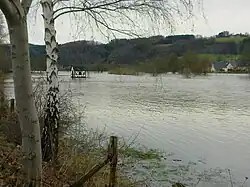 The Sieg in Alzenbach [de], January 2011