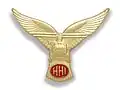 Helicopter Handling Instructor