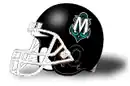 Team helmet