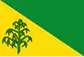 Flag of Hiaure