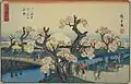 Meisho Flowers (Koganei)