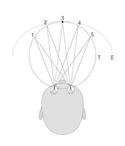 Horopter