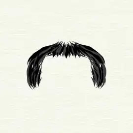 Horseshoe moustache