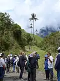 Tochecito, Quindío, Colombia. IPS Biennial 2018