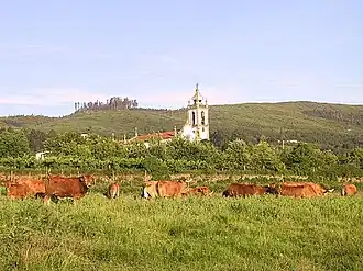 Parochial church