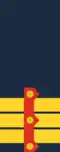 Colonel