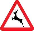 Wild Animals