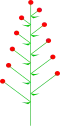 Alternate flowers
