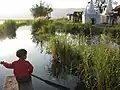 The shores of Inle Lake