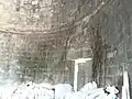 Plant roots penetrating the walls