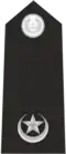 Insignia Of Superintendent (less than 8 years' service)