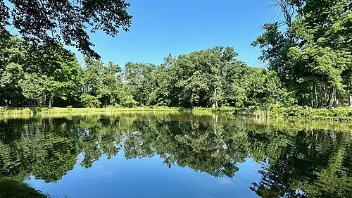 The Institute Pond, created in the 1960s[92]
