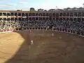 El Bibio, during a corrida