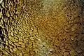 Tholos