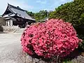 Hondō